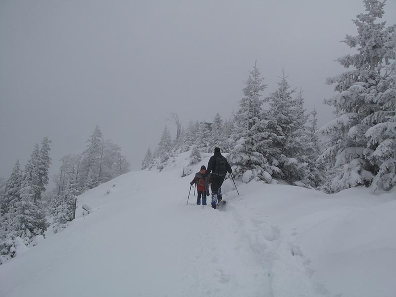 Rckweg in der eigenen Spur